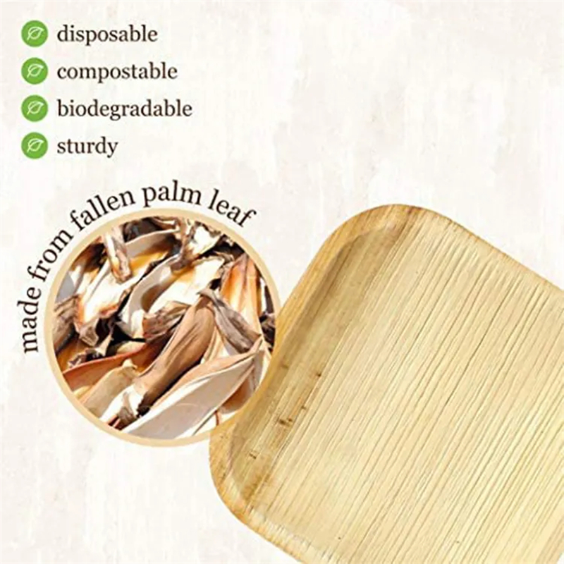 Square Palm Leaf Tray